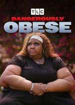 dangerously obese season 1 episode 8 tv poster