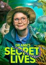 Watch Dr Ann\'s Secret Lives 123MovieFree
